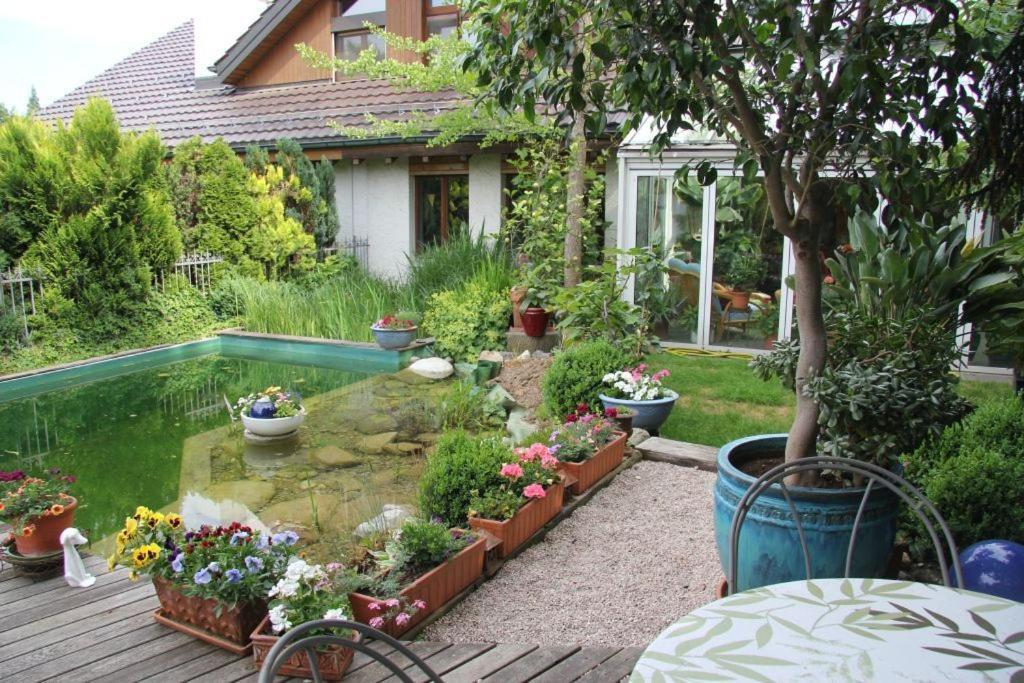 Bed & Breakfast Wepfer Grüt Zewnętrze zdjęcie